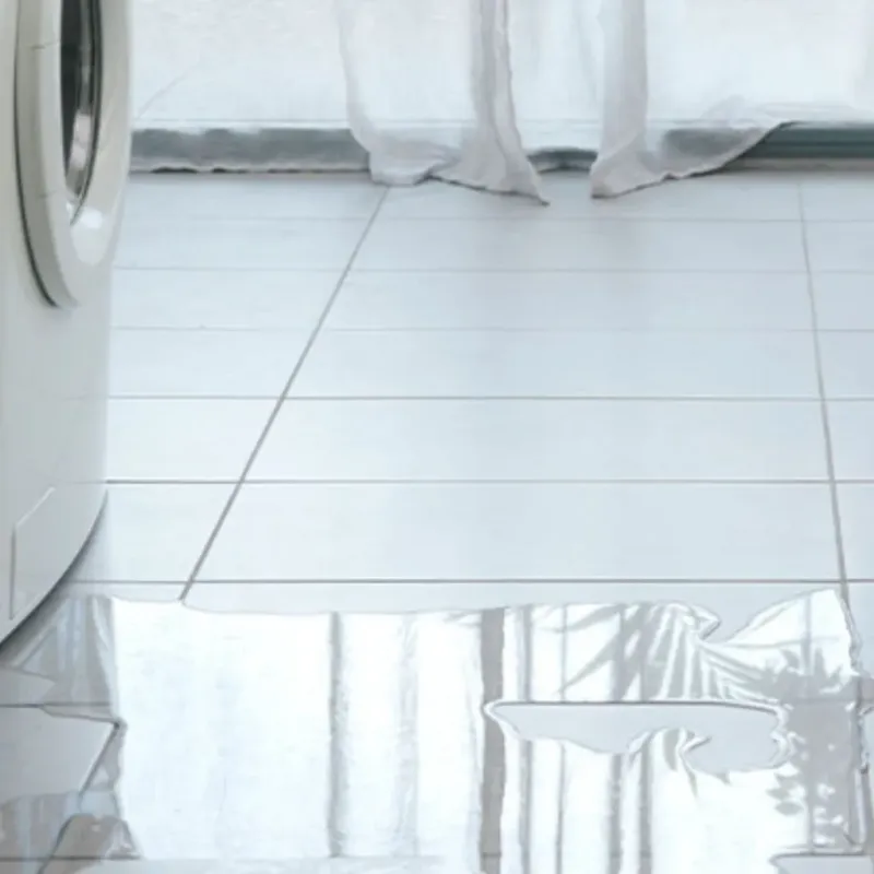 Appliance Leak Cleanup in Bolinas, CA
