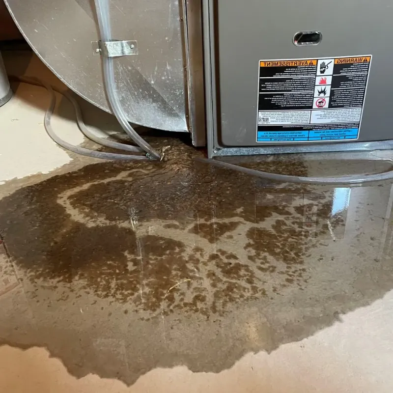 Pipe Burst and Leak Restoration in Bolinas, CA
